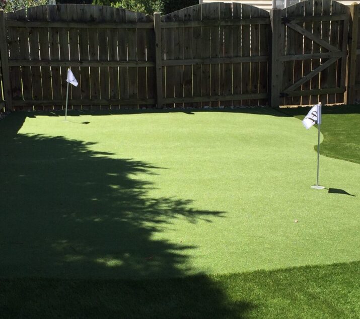 Mini putt in backyard